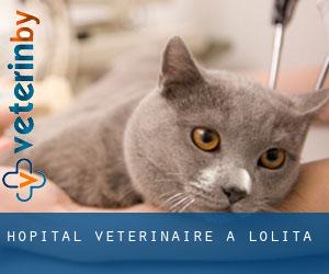 Hôpital vétérinaire à Lolita