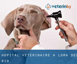 Hôpital vétérinaire à Lora del Río