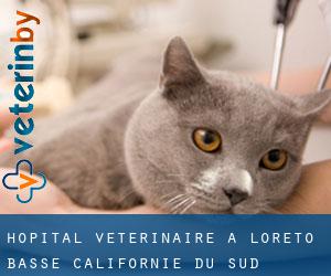 Hôpital vétérinaire à Loreto (Basse-Californie du Sud)