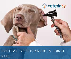Hôpital vétérinaire à Lunel-Viel