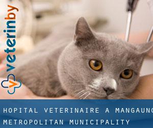 Hôpital vétérinaire à Mangaung Metropolitan Municipality