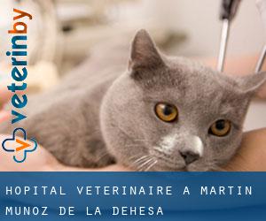 Hôpital vétérinaire à Martín Muñoz de la Dehesa