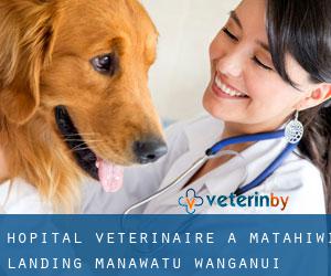 Hôpital vétérinaire à Matahiwi Landing (Manawatu-Wanganui)