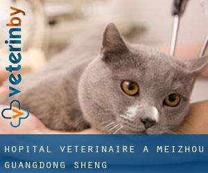 Hôpital vétérinaire à Meizhou (Guangdong Sheng)
