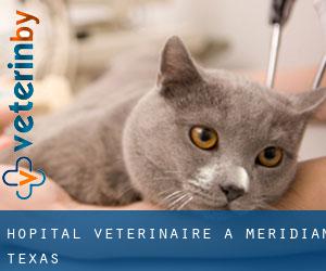 Hôpital vétérinaire à Meridian (Texas)