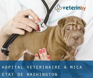 Hôpital vétérinaire à Mica (État de Washington)