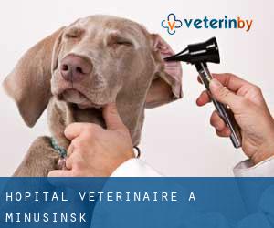 Hôpital vétérinaire à Minusinsk