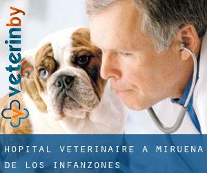Hôpital vétérinaire à Mirueña de los Infanzones