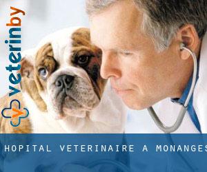 Hôpital vétérinaire à Monanges