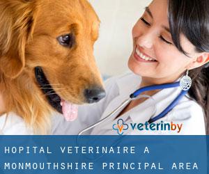 Hôpital vétérinaire à Monmouthshire principal area
