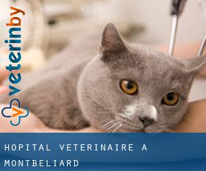 Hôpital vétérinaire à Montbéliard