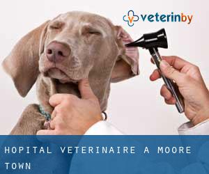 Hôpital vétérinaire à Moore Town