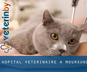 Hôpital vétérinaire à Moursund