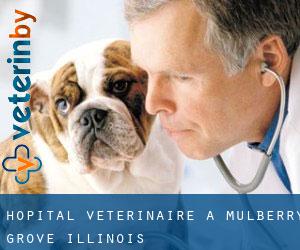 Hôpital vétérinaire à Mulberry Grove (Illinois)