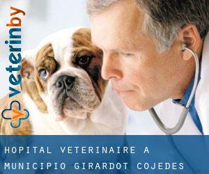 Hôpital vétérinaire à Municipio Girardot (Cojedes)