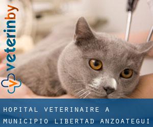 Hôpital vétérinaire à Municipio Libertad (Anzoátegui)