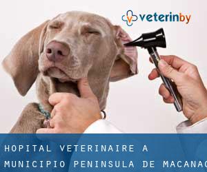 Hôpital vétérinaire à Municipio Península de Macanao