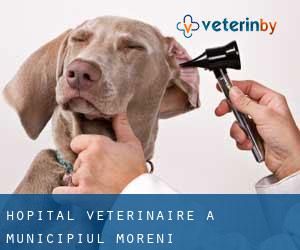 Hôpital vétérinaire à Municipiul Moreni