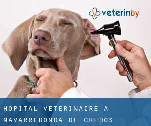 Hôpital vétérinaire à Navarredonda de Gredos