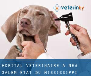 Hôpital vétérinaire à New Salem (État du Mississippi)