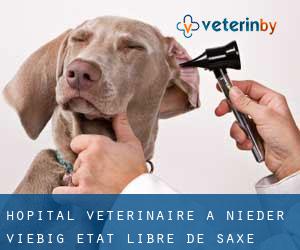 Hôpital vétérinaire à Nieder Viebig (État libre de Saxe)