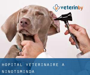 Hôpital vétérinaire à Ninotsminda