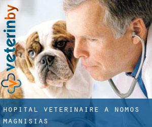 Hôpital vétérinaire à Nomós Magnisías