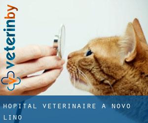 Hôpital vétérinaire à Novo Lino
