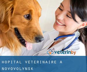 Hôpital vétérinaire à Novovolyns'k