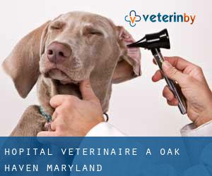 Hôpital vétérinaire à Oak Haven (Maryland)