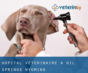 Hôpital vétérinaire à Oil Springs (Wyoming)