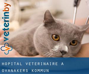 Hôpital vétérinaire à Ovanåkers Kommun
