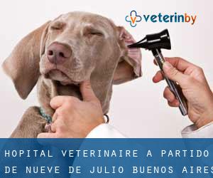 Hôpital vétérinaire à Partido de Nueve de Julio (Buenos Aires)