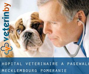 Hôpital vétérinaire à Pasewalk (Mecklembourg-Poméranie)