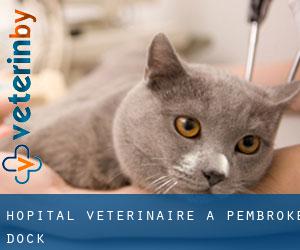 Hôpital vétérinaire à Pembroke Dock