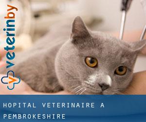 Hôpital vétérinaire à Pembrokeshire