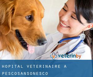 Hôpital vétérinaire à Pescosansonesco
