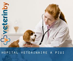 Hôpital vétérinaire à Piuí