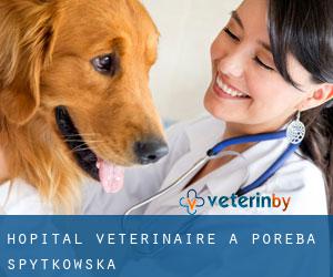 Hôpital vétérinaire à Poręba Spytkowska
