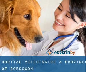 Hôpital vétérinaire à Province of Sorsogon