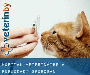 Hôpital vétérinaire à Purwodadi Grobogan