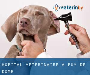 Hôpital vétérinaire à Puy-de-Dôme