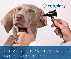 Hôpital vétérinaire à Raleigh (État du Mississippi)