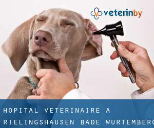 Hôpital vétérinaire à Rielingshausen (Bade-Wurtemberg)