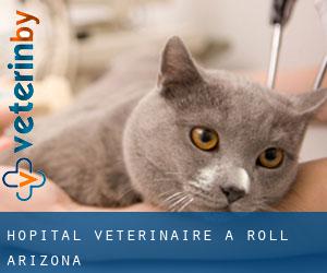 Hôpital vétérinaire à Roll (Arizona)