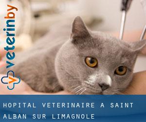 Hôpital vétérinaire à Saint-Alban-sur-Limagnole