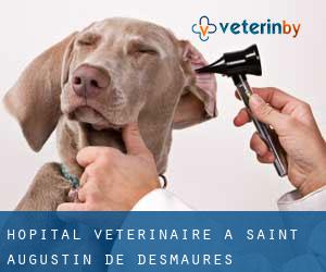 Hôpital vétérinaire à Saint-Augustin-de-Desmaures