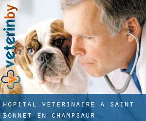 Hôpital vétérinaire à Saint-Bonnet-en-Champsaur