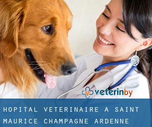 Hôpital vétérinaire à Saint-Maurice (Champagne-Ardenne)
