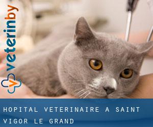 Hôpital vétérinaire à Saint-Vigor-le-Grand